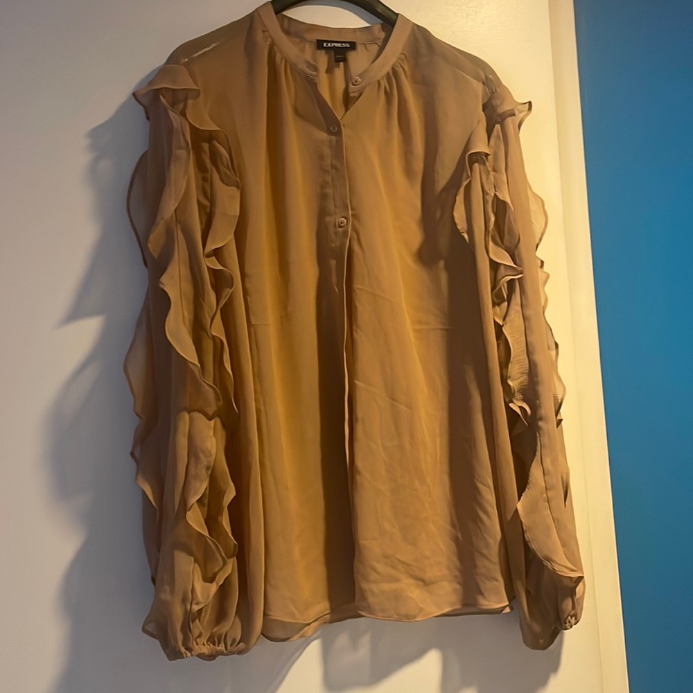 Express ballon ruffle sheer top